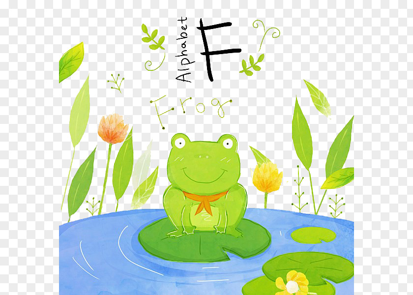 Water Frogs Tree Frog Drawing PNG