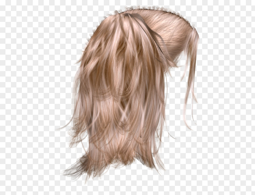 Hair Wig Long Hairstyle Cabelo PNG