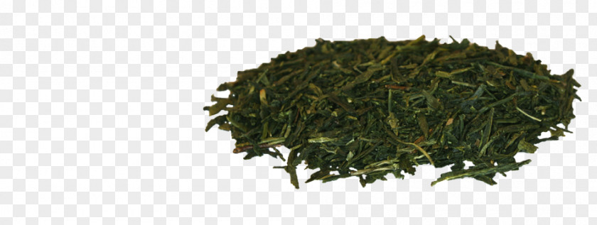 Japanese Tea Nilgiri Gyokuro Leaf Vegetable Plant PNG