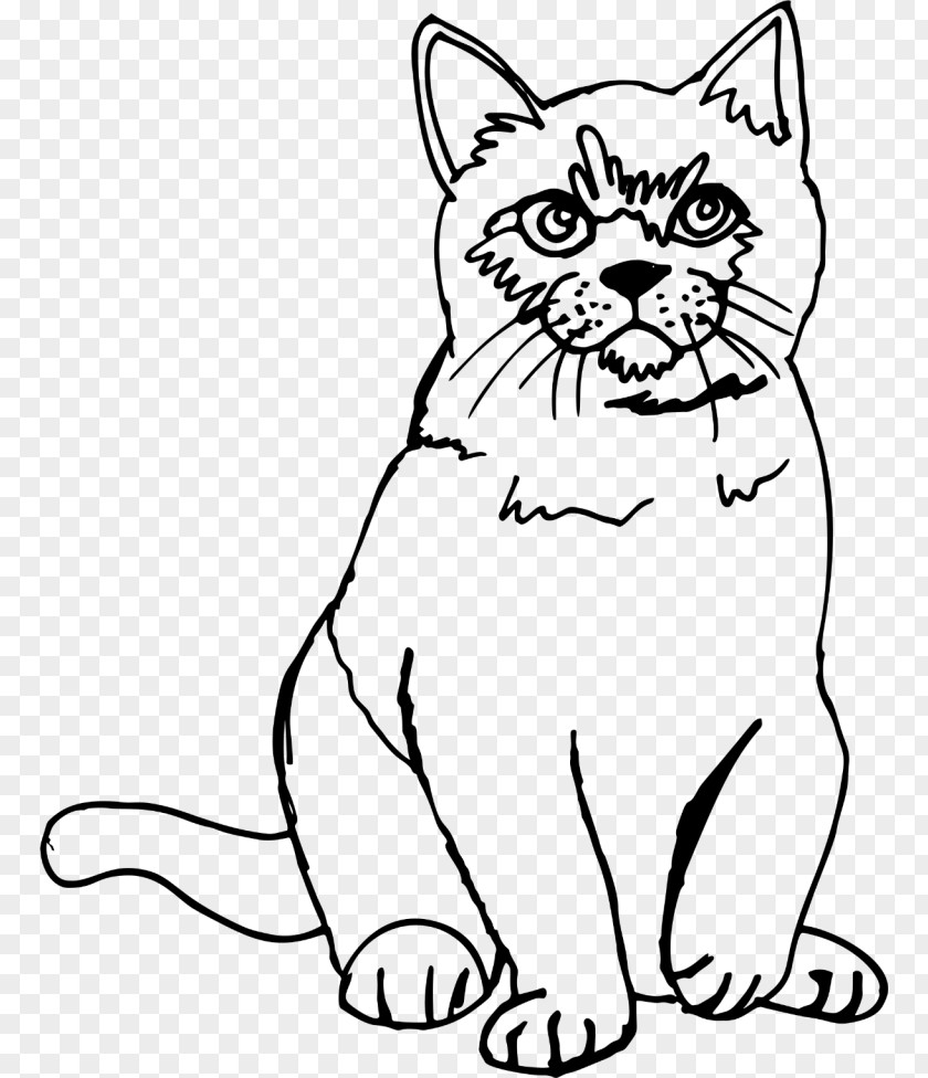 Kitten Sphynx Cat Line Art Drawing Sketch PNG