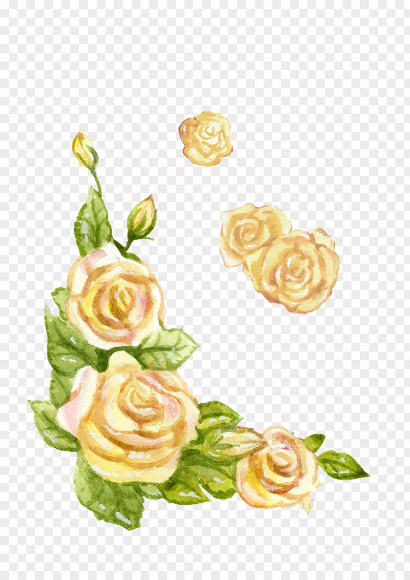 Watercolour Flowers Watercolor Painting PNG
