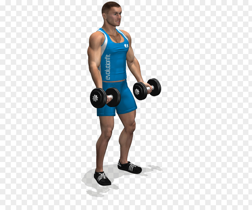 Fly Weight Training Exercise Deltoid Muscle Front Raise Squat PNG