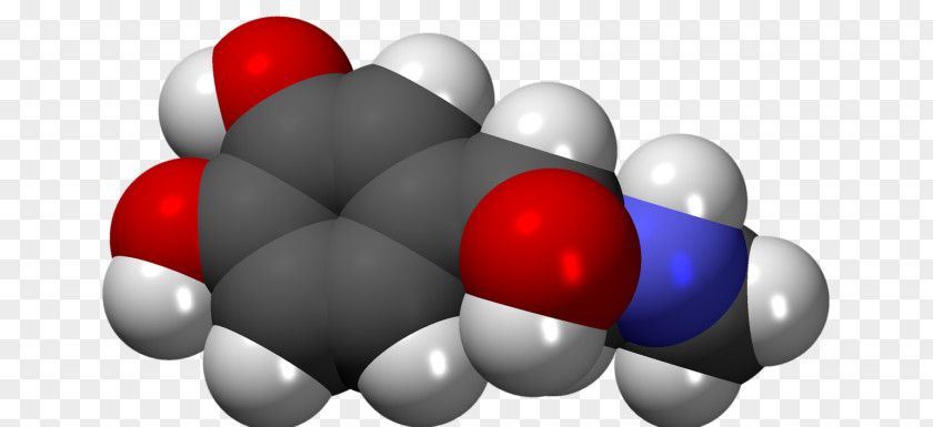 Iupac Nomenclature Of Chemistry Growth Hormone Adrenaline Gland Catecholamine PNG