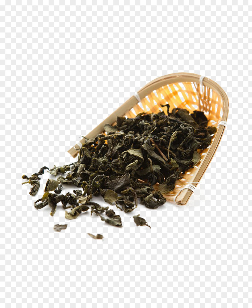 Tea Green Culture PNG