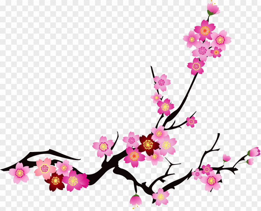 Vector Painted Pink Cherry Blossoms Your Moment Massage Blossom Cerasus PNG