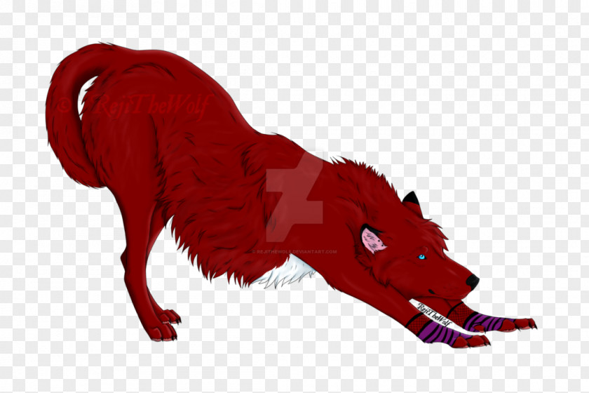 Dog Canidae Snout PNG