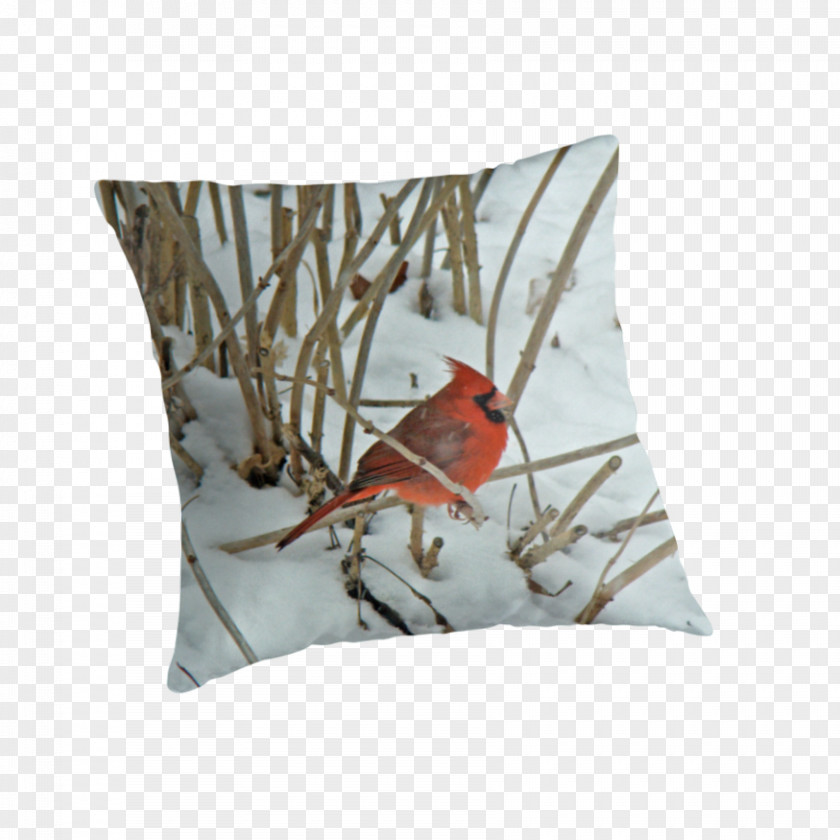 Northern Cardinal Throw Pillows Cushion Songbird PNG