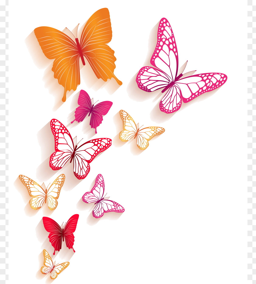 Butterfly Insect Clip Art PNG