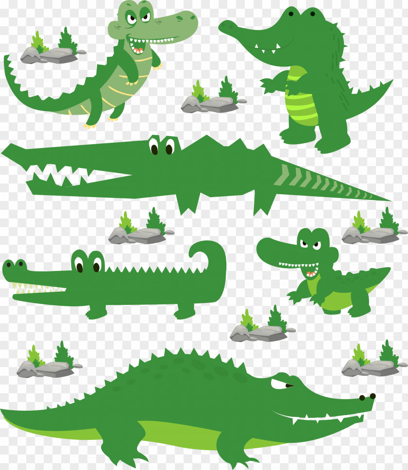 Green Cartoon Crocodile PNG