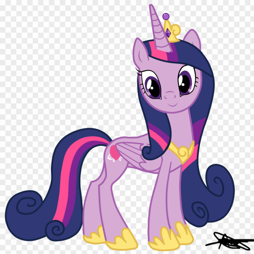 Hinh Anh Pony Twilight Sparkle Princess Cadance Rainbow Dash Celestia Rarity PNG