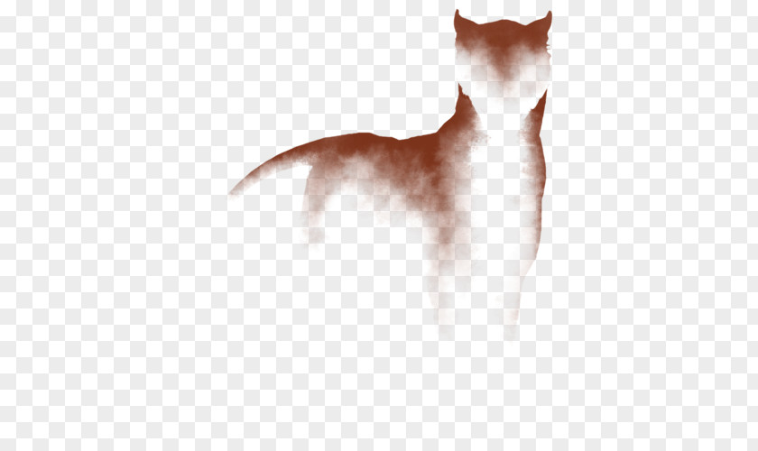 Kitten Whiskers Dog Breed Fur PNG