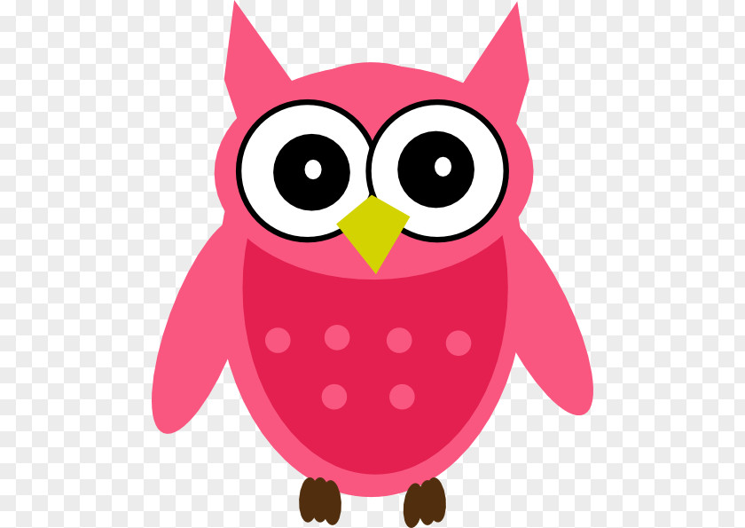 Owl Baby Owls Clip Art Green Image PNG