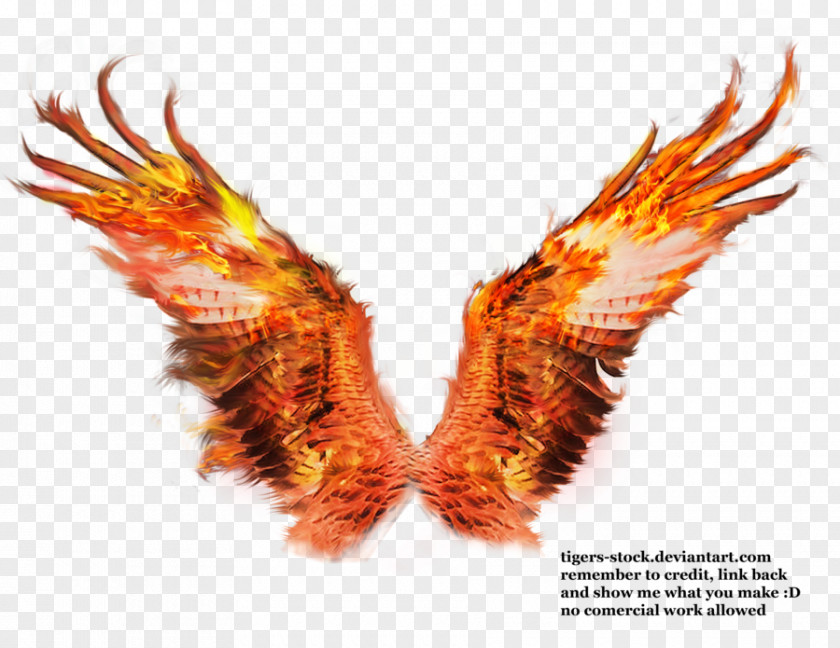 Phoenix Fire Wings Sacramento Firebird PNG