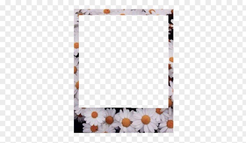 Picture Frames Instant Camera Paper PNG