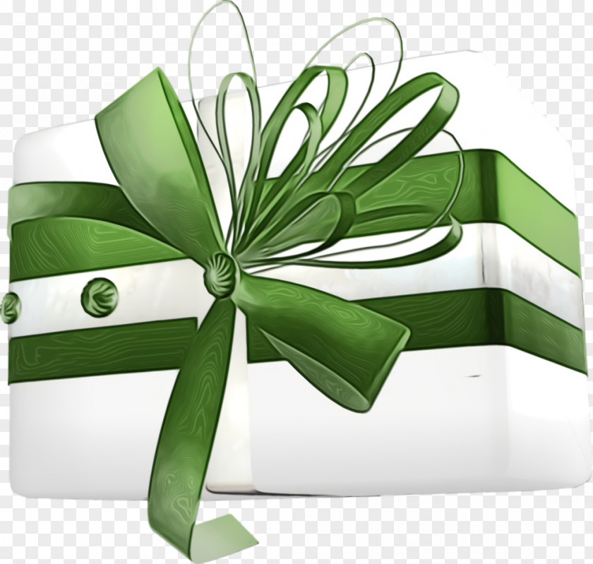 Present Ribbon Green Leaf Plant Gift Wrapping PNG