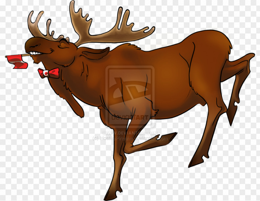 Reindeer Moose Cattle Mammal Antler PNG