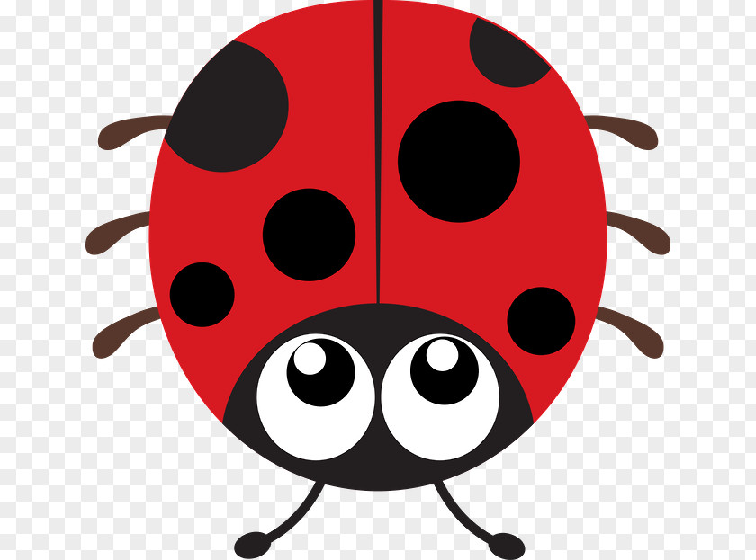 Beetle Vector Graphics Illustration Clip Art Royalty-free PNG