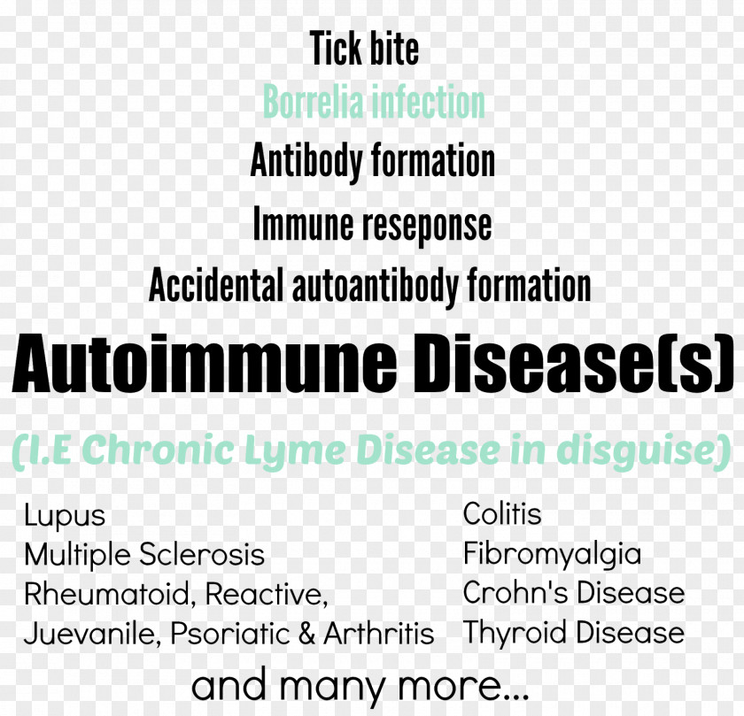 Chronic Lyme Disease Autoimmune Autoimmunity PNG