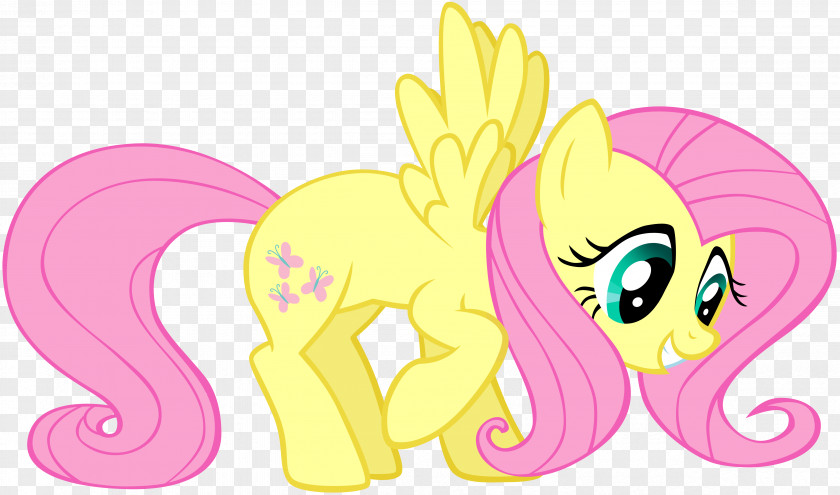 Horse Pony Fluttershy Twilight Sparkle Rarity Rainbow Dash PNG