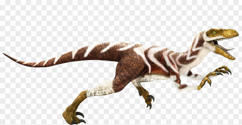 Jurassic World Apatosaurus Velociraptor Dinosaur King Baryonyx Edmontosaurus PNG