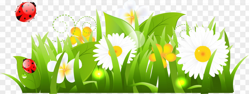 Spring Flower Whirlwind Stock Photography Clip Art PNG