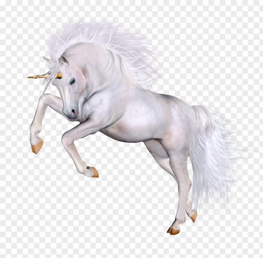 Unicornio Horse Unicorn PNG