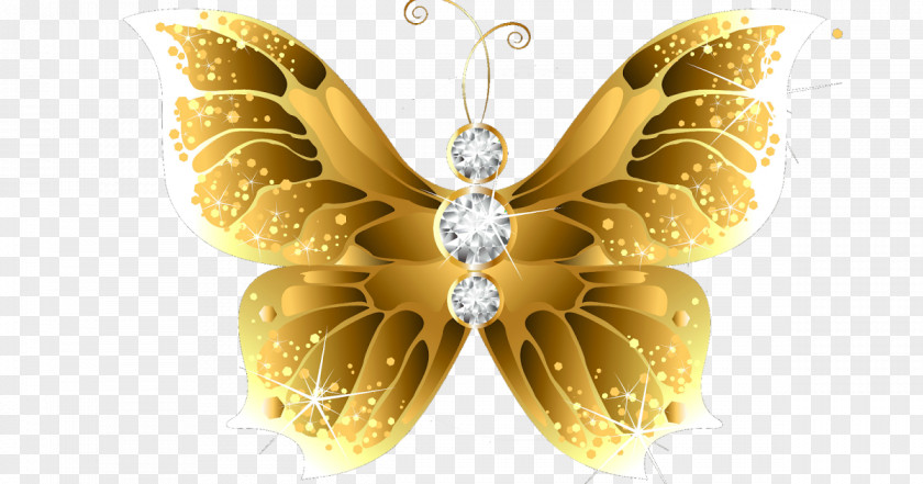 Butterfly Net Gold Clip Art PNG