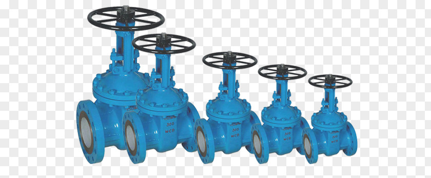 Gate Valve Relief Safety Ductile Iron PNG