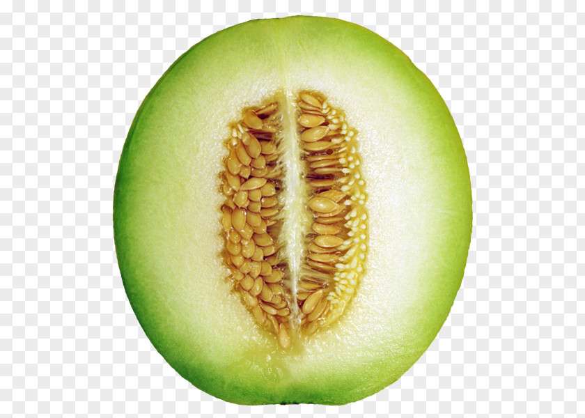 Green Hay Melon Material Without Matting Honeydew Cantaloupe Canary Galia Berry PNG