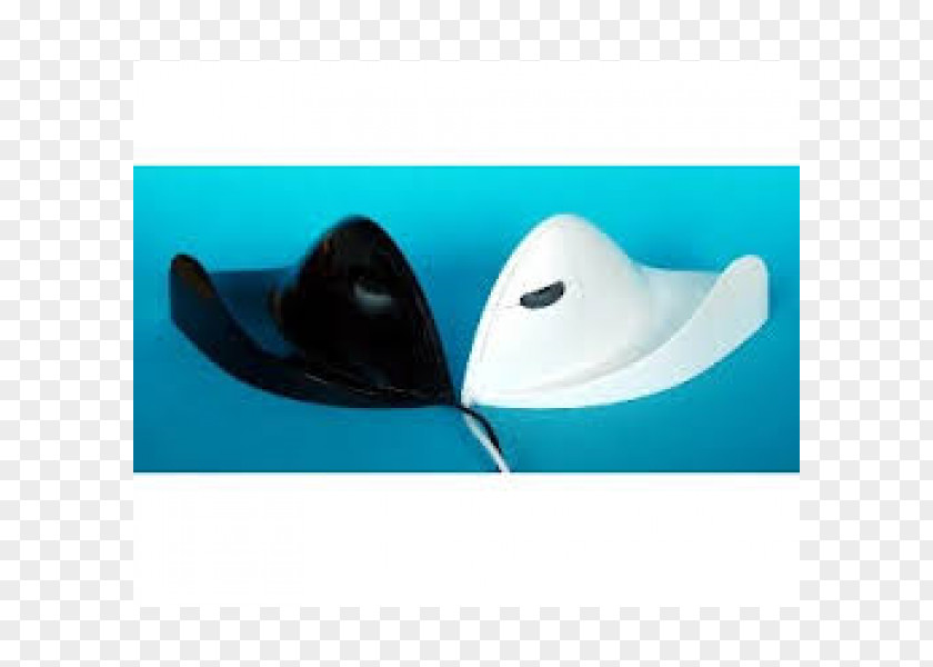 Hat Dolphin PNG