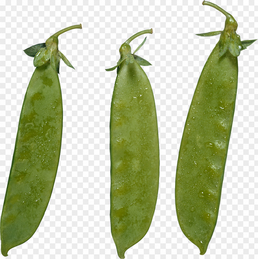 Pea Snow Lima Bean Green Vegetarian Cuisine PNG