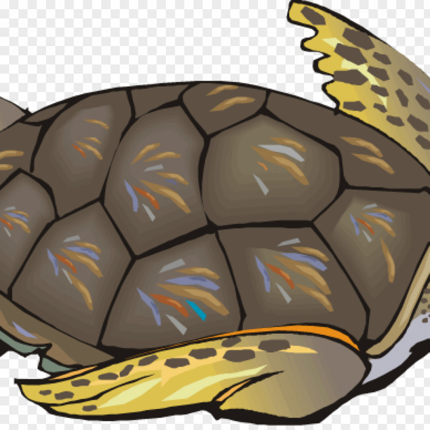 Silhouette Turtle Sea Clip Art Vector Graphics Image PNG