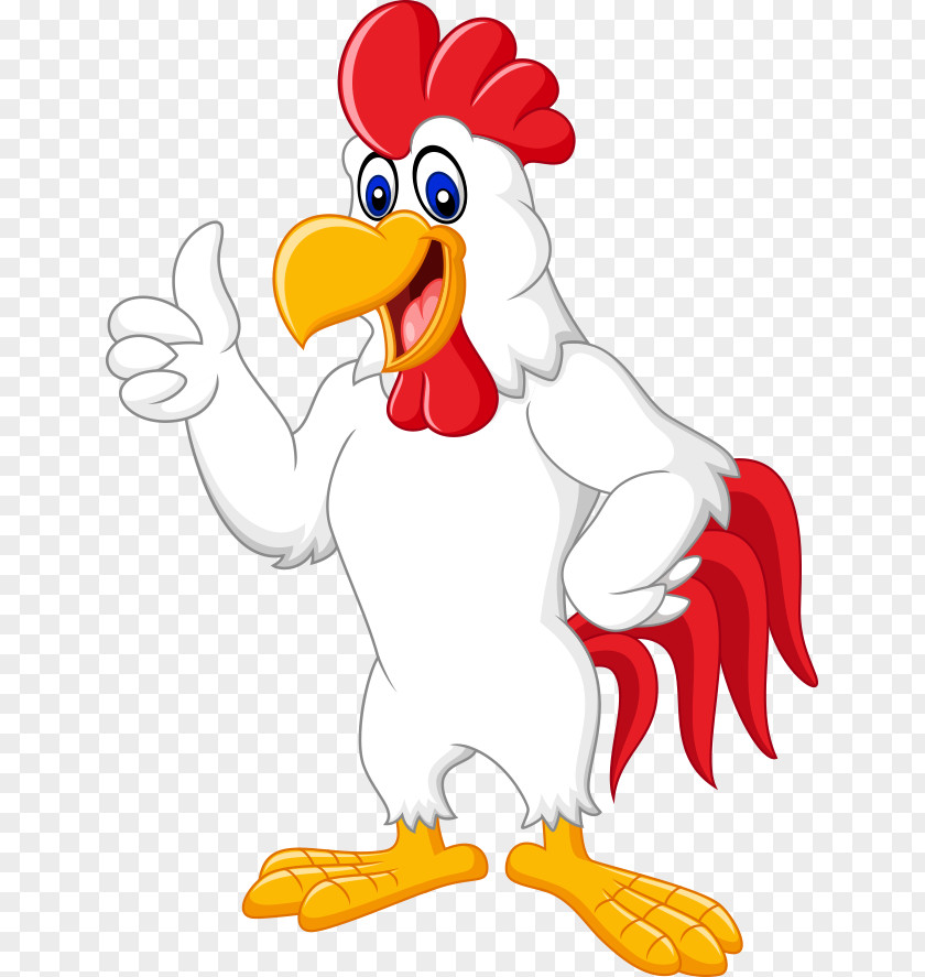 Vector White Cock Chicken Rooster Cartoon Illustration PNG