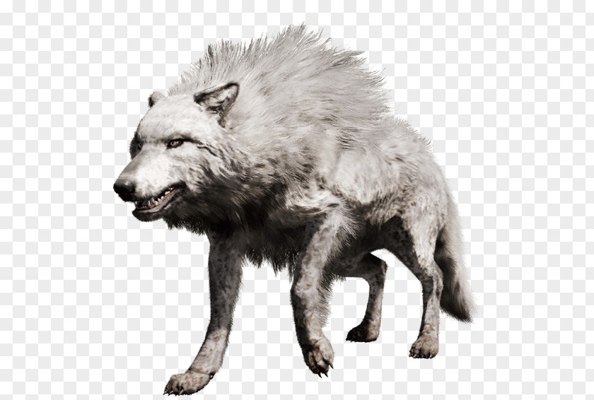 White Wolf Far Cry Primal PlayStation 4 Gray PNG