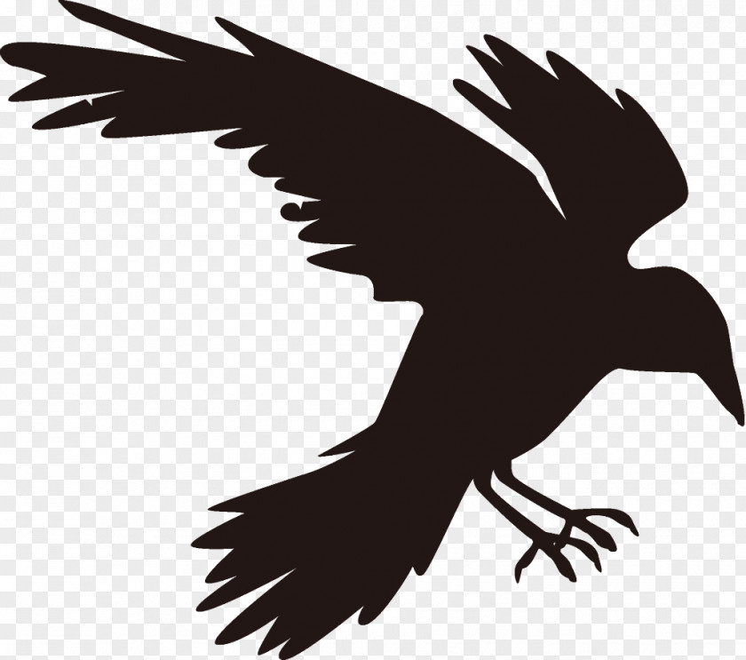 Bird Of Prey Golden Eagle Raven Halloween Crow PNG