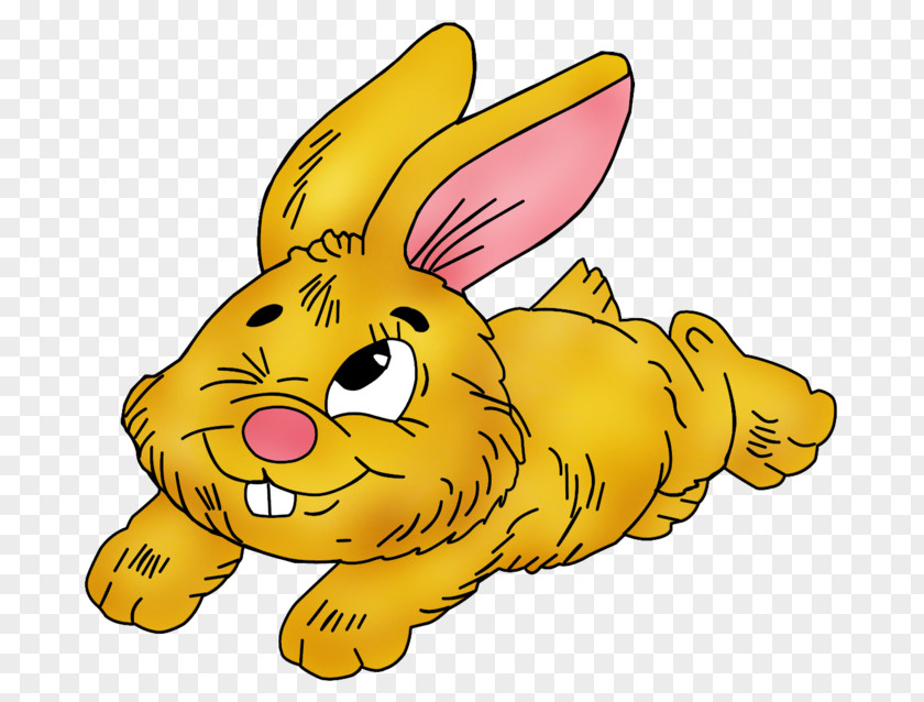 Easter Domestic Rabbit Bunny Hare Clip Art PNG