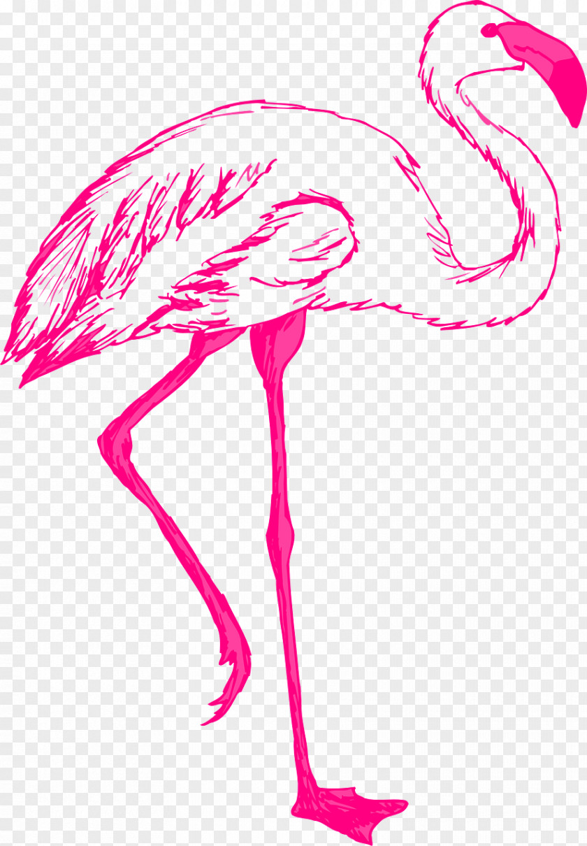 Flamingo Free Clip Art PNG