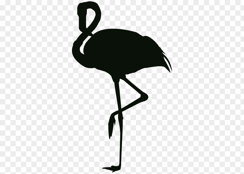 Flamingos Wall Decal Sticker Paper Flamingo PNG