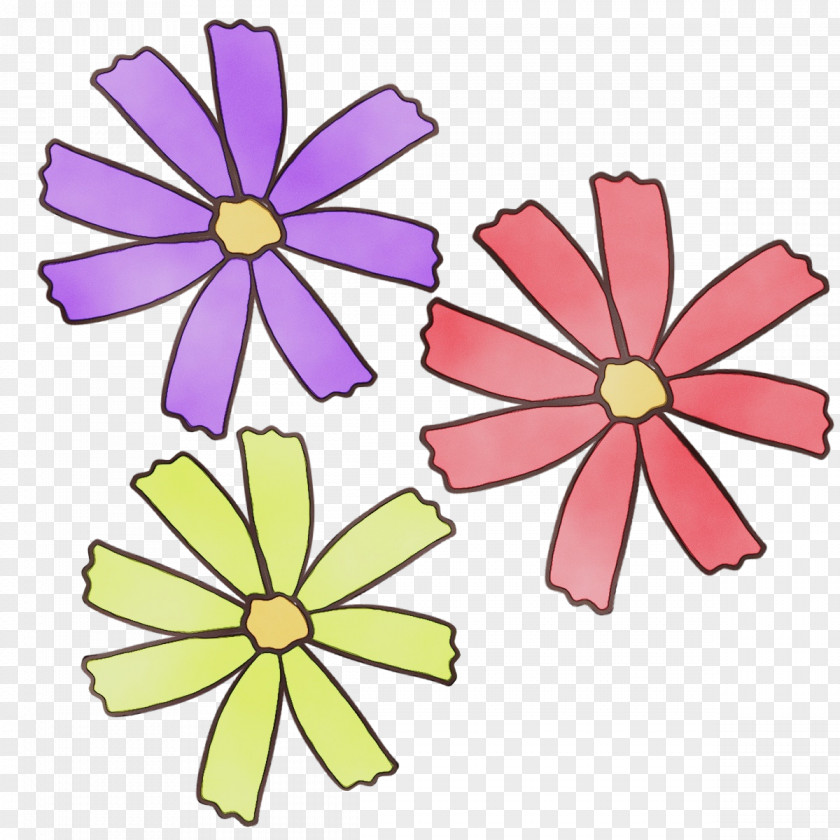 Floral Design PNG