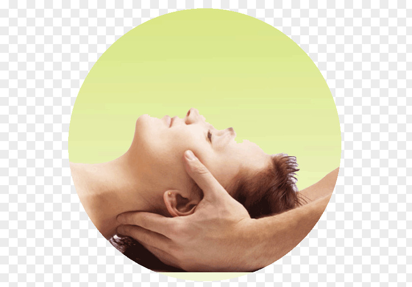 Health Osteopathy Craniosacral Therapy Massage Physical PNG