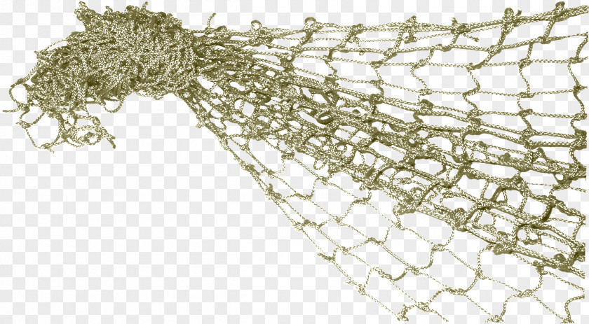 Barbwire Angling Fishing Nets Clip Art PNG
