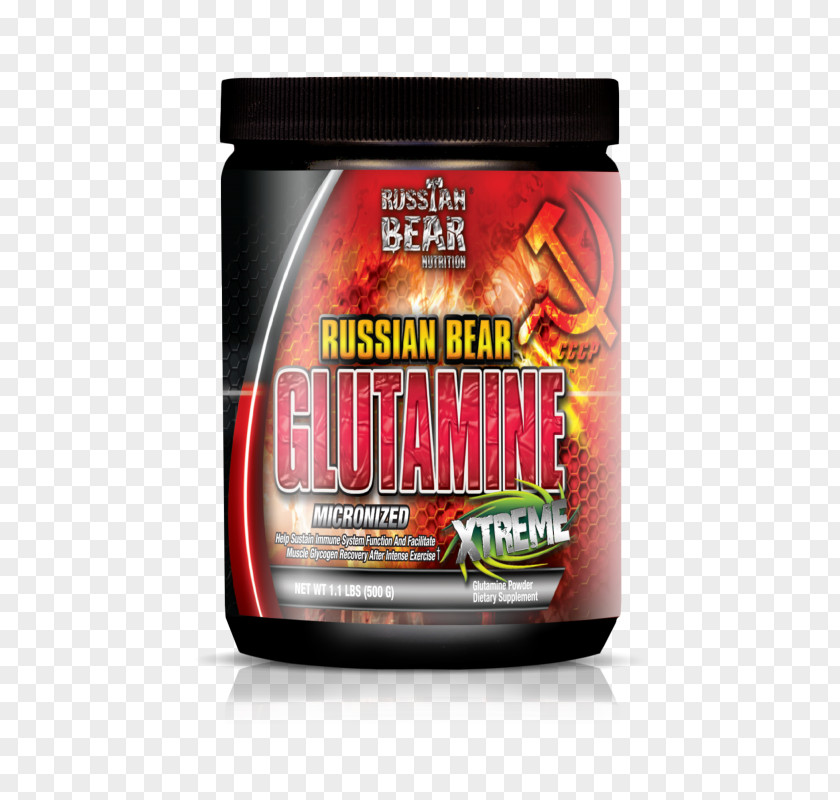 Bear Dietary Supplement Russian Glutamine Bodybuilding PNG