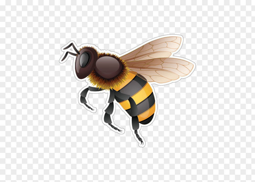 Bee Western Honey Hornet Bumblebee PNG
