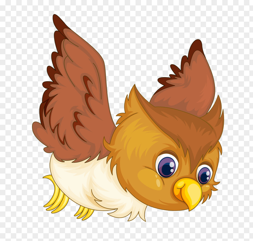 Bird Wing Owl Cartoon PNG