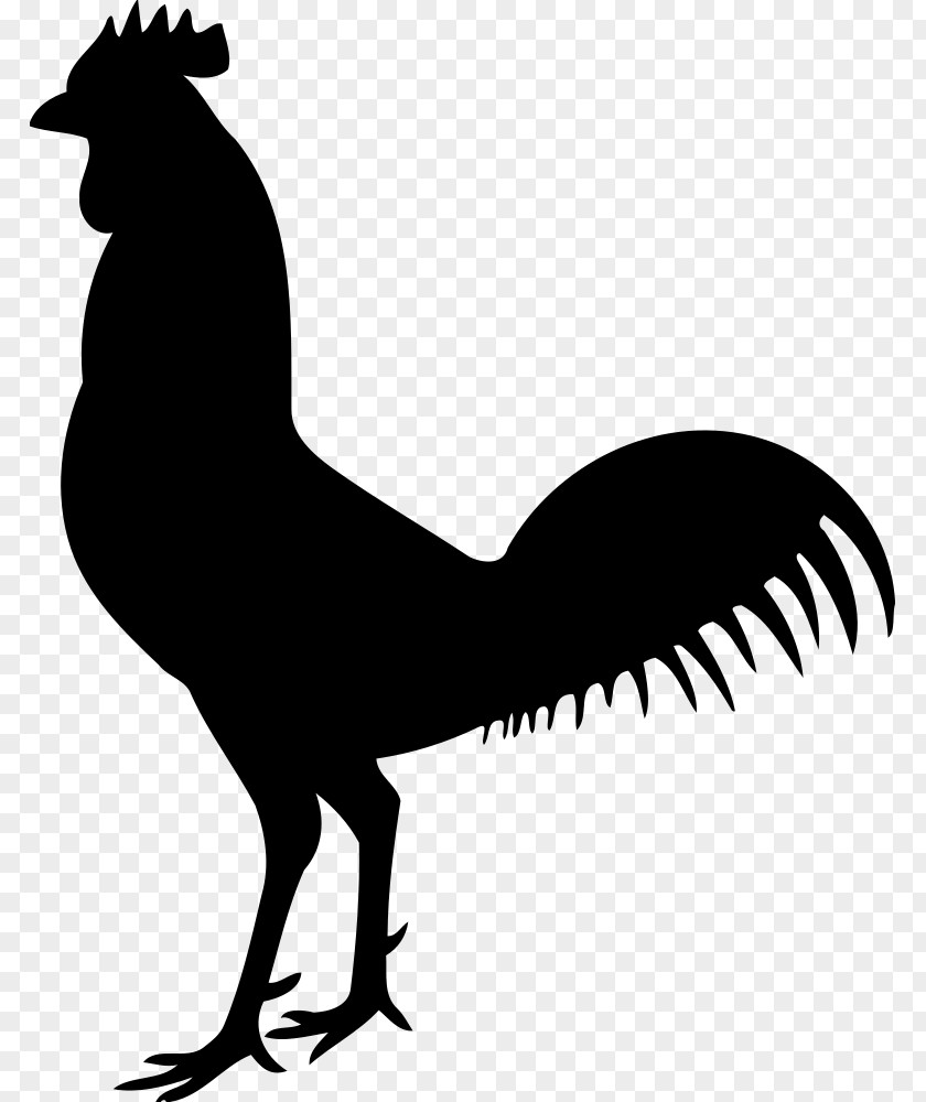 Chicken Skeleton Clip Art PNG