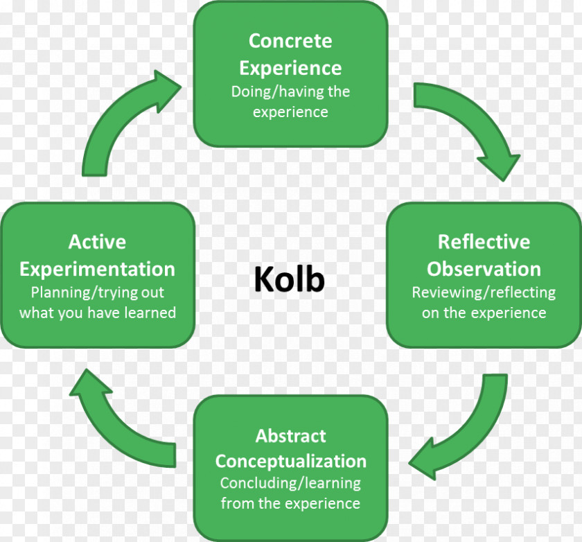 David A Kolb Reflective Practice Mentorship Learning Theory Professional Development PNG