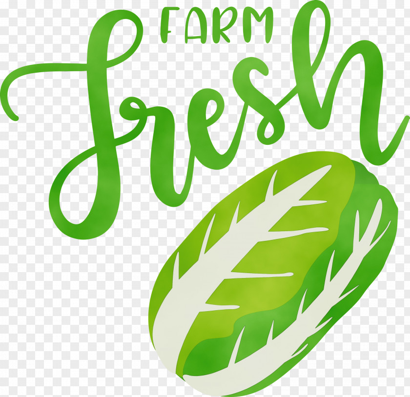 Logo Leaf Green Meter Fruit PNG