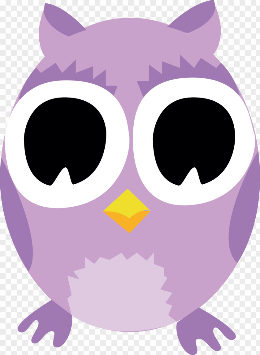 Owl Clip Art Illustration Beak Snout PNG