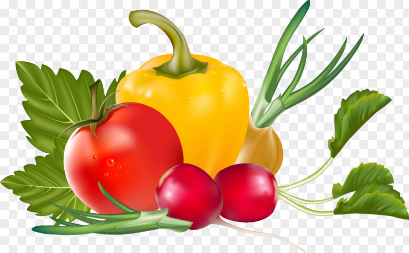 Vegetable Clip Art Fruit Vegetarian Cuisine Image PNG