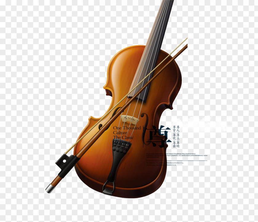 Violin Bass Violone Double Viola PNG